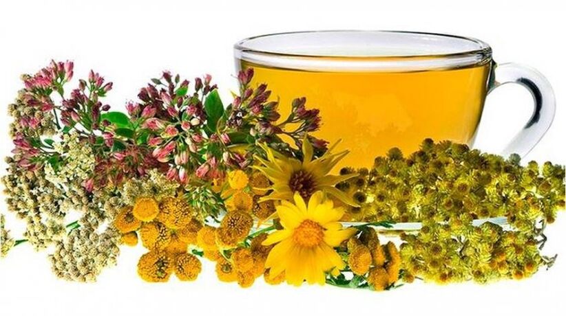 Chamomile decoction for parasites